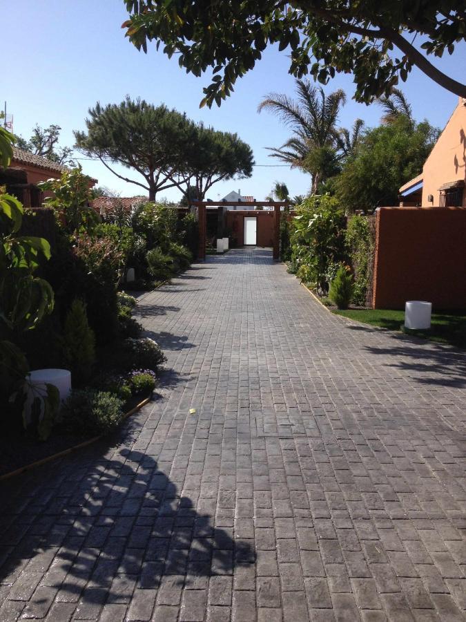 Estudio Con Jardincito Privado Barbacoa Y Piscina Kadyks Zewnętrze zdjęcie
